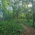 Osrodek Promenada- Puchatek