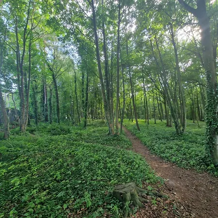 Osrodek Promenada- Puchatek