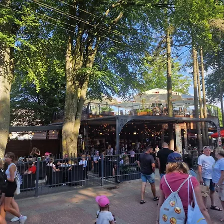 Osrodek Promenada- Puchatek