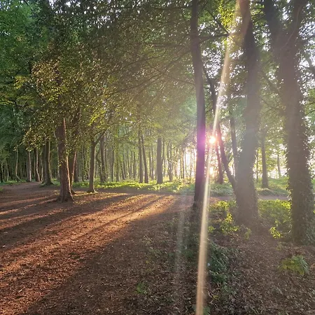 Osrodek Promenada- Puchatek * Jastrzebia Gora