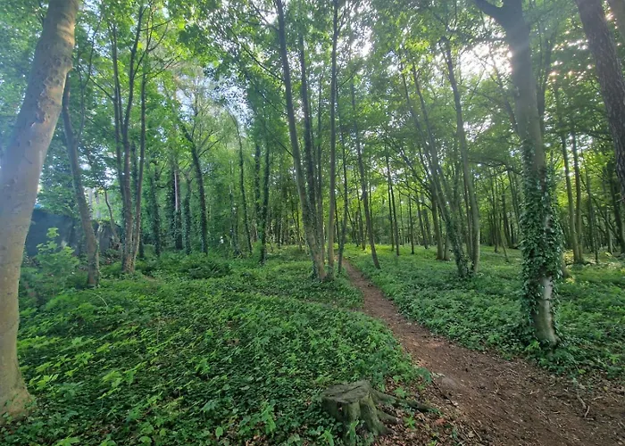 Osrodek Promenada- Puchatek